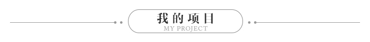 我的项目