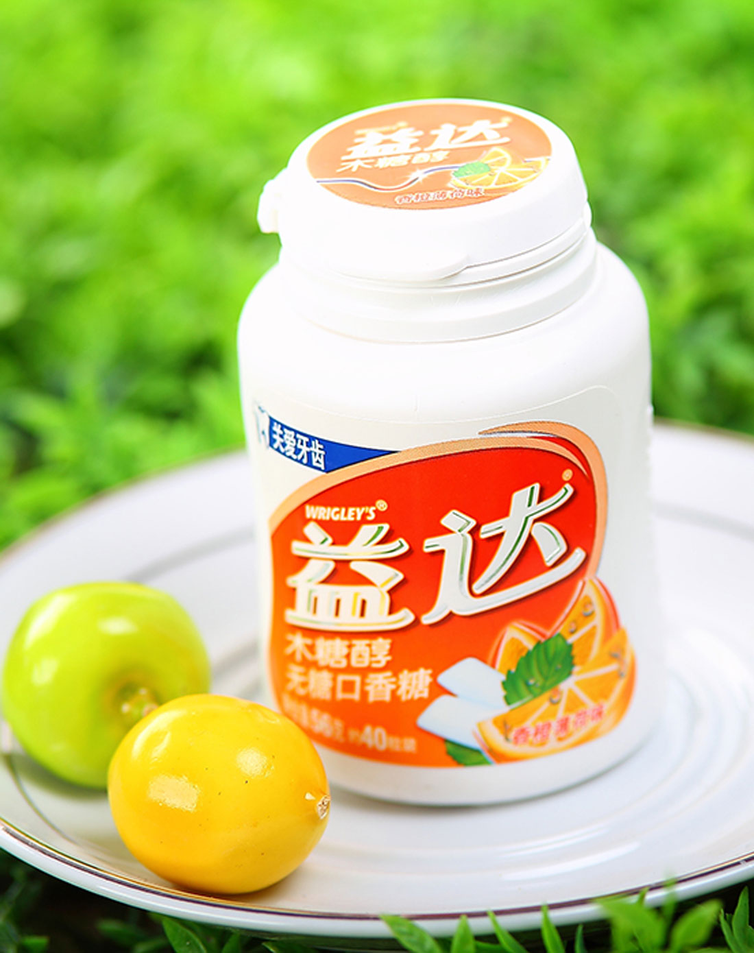 百龙创园低聚木糖95含量 广东深圳-食品商务网