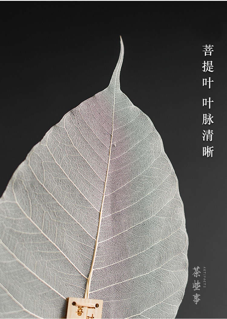 创意树叶茶漏斗茶滤菩提叶脉过滤器茶具配件家用茶杯泡茶工具