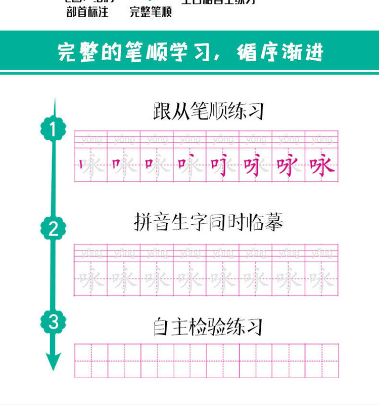 全4册 二年级下册生字抄写本语文拼音识字本写字本