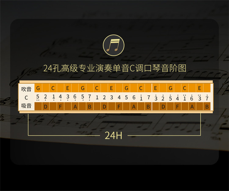 天鹅swan口琴 24孔单排单音高级成人初学者学生专业演奏口琴c调