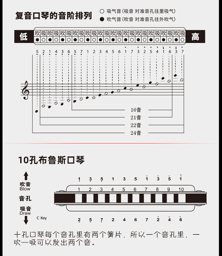 24孔口琴儿童10孔初学者成人复音c调口风琴幼儿园礼物乐器