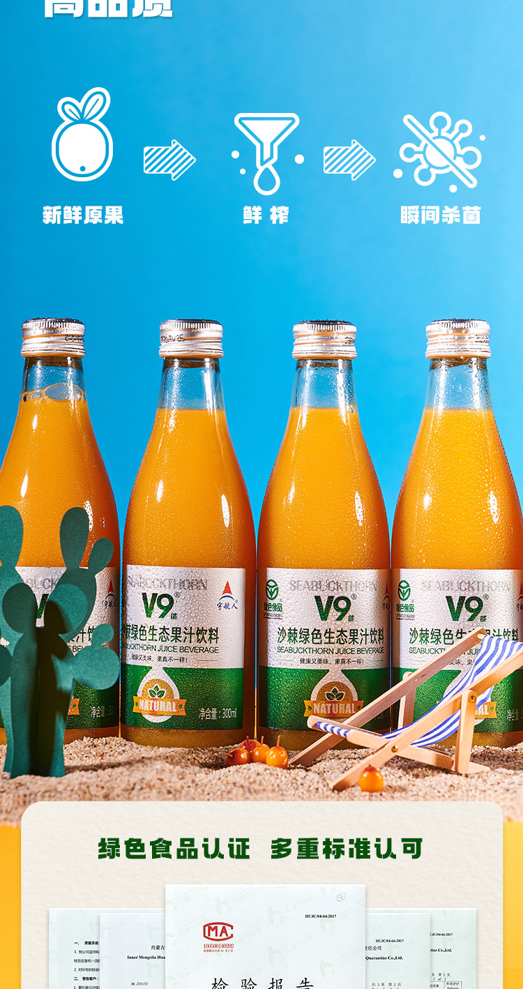 宇航人 沙棘绿色生态果汁饮料 内蒙古特产 300ml*6瓶/箱