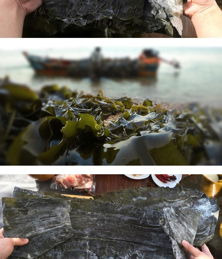 干海带 500g