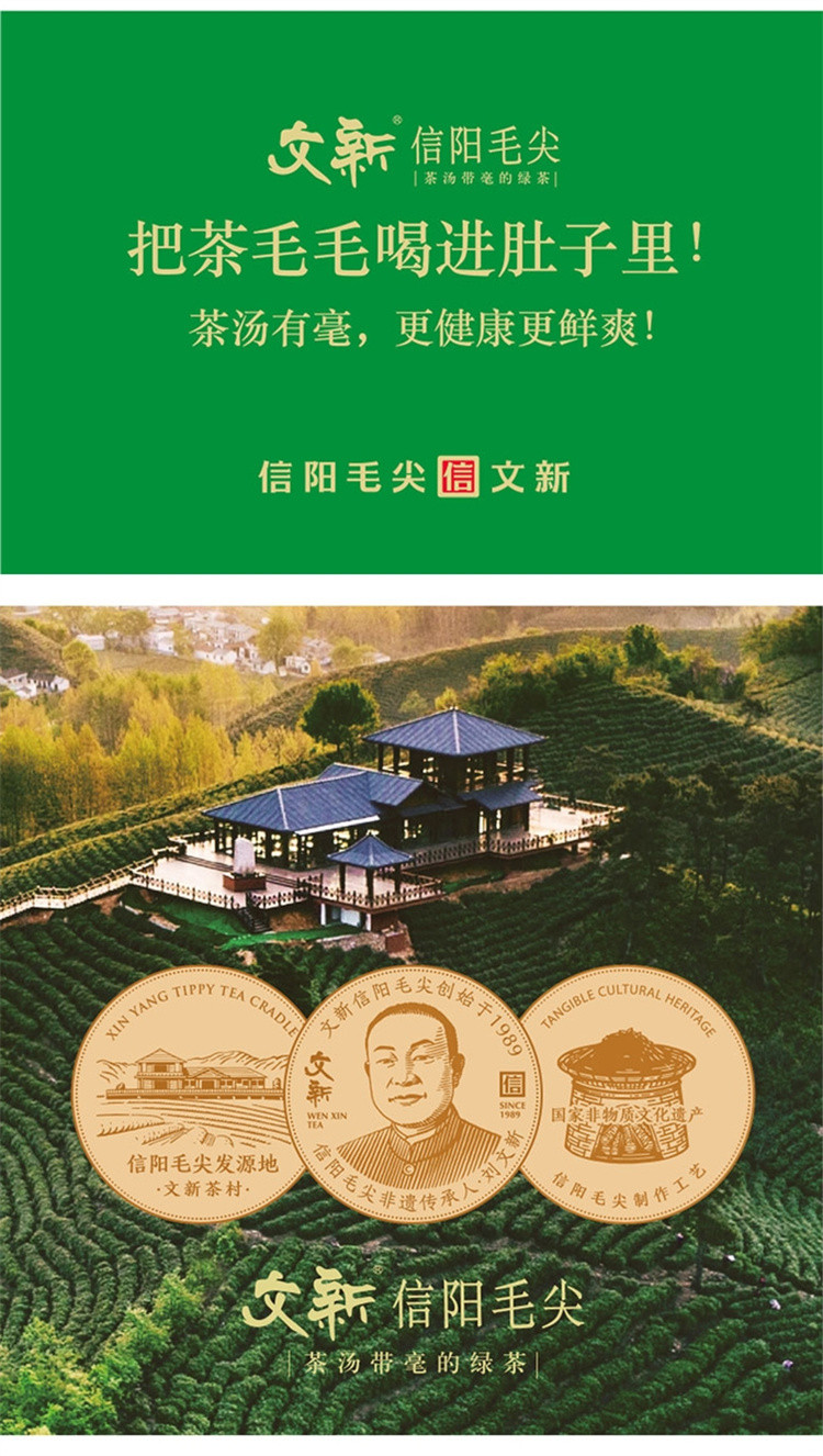 信阳毛尖茶叶绿茶2021新茶明前(中原一号)48g高端茶礼