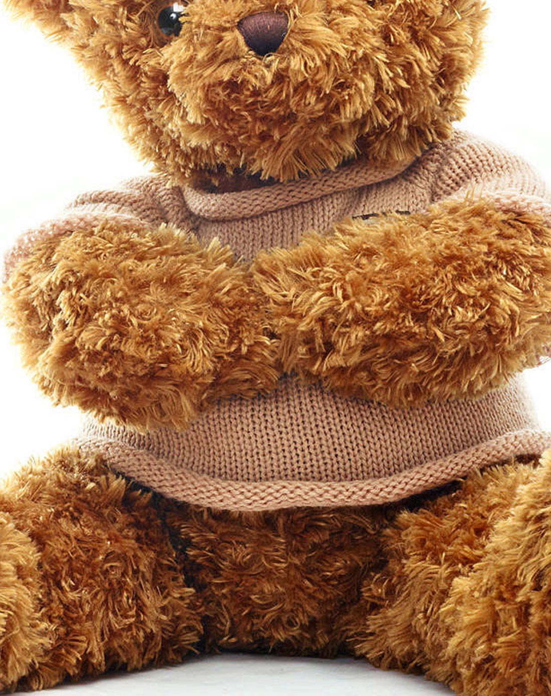 棕色珍藏版学院熊70厘米