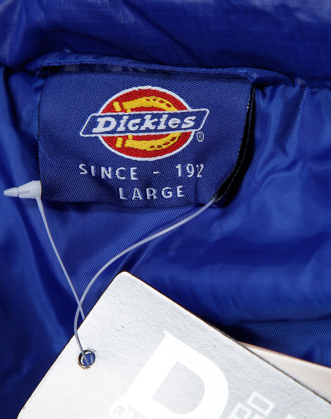 帝客dickies 男款蓝色长袖羽绒服