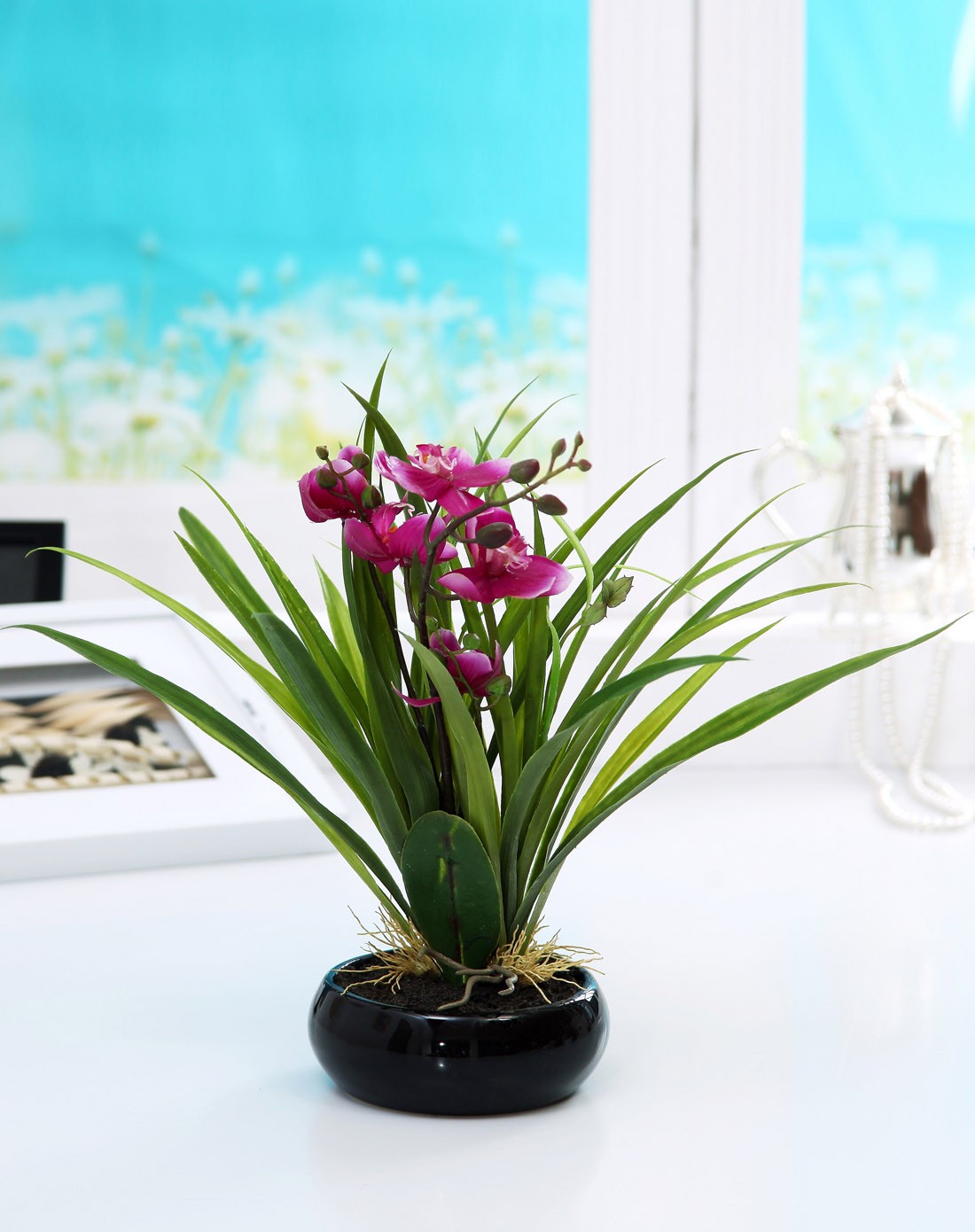 蝴蝶兰仿真绿色小盆栽(红色)