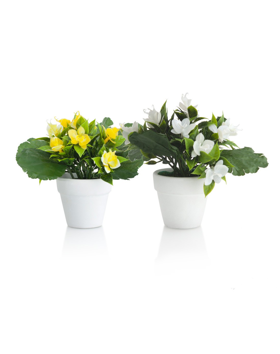 > 蝴蝶花仿真盆栽两件套(白黄)