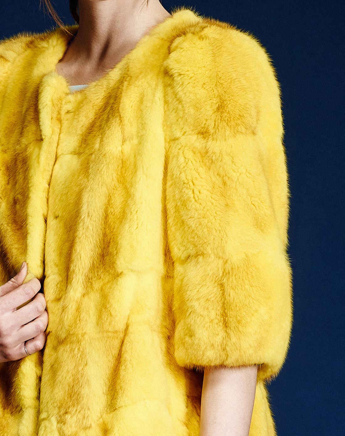 黄色青根貂高档皮草