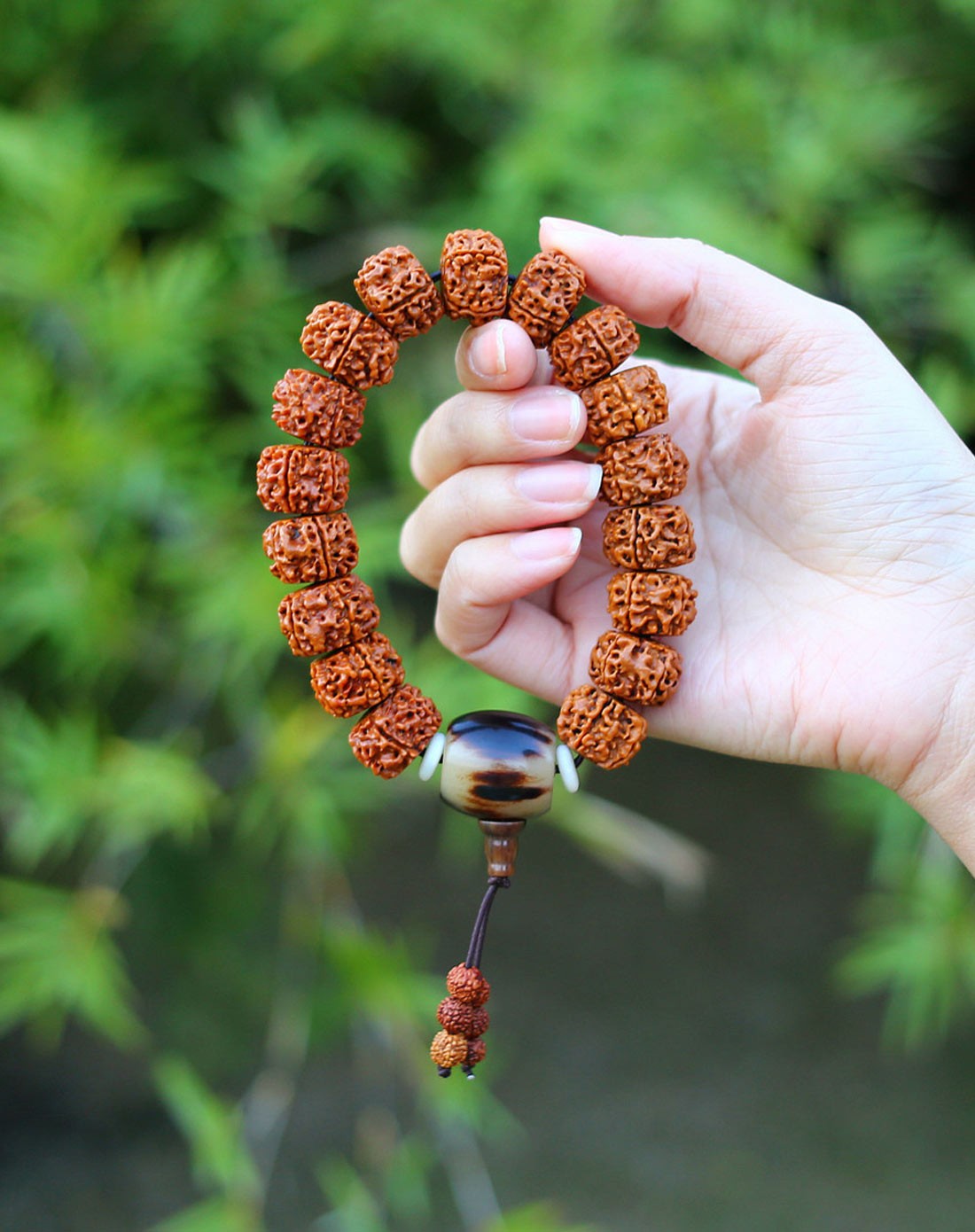 天然五瓣金刚菩提手链