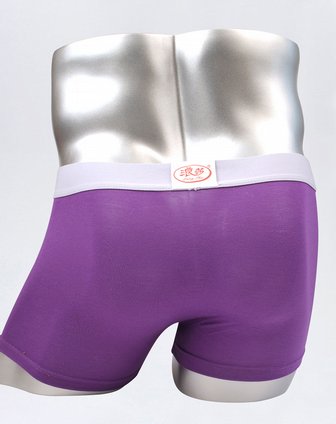 男款紫色简约舒适平角内裤(2盒装)