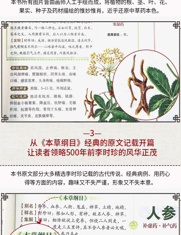 本草纲目正版李时珍全集彩图版原著中草药对症经典名方中医学古籍