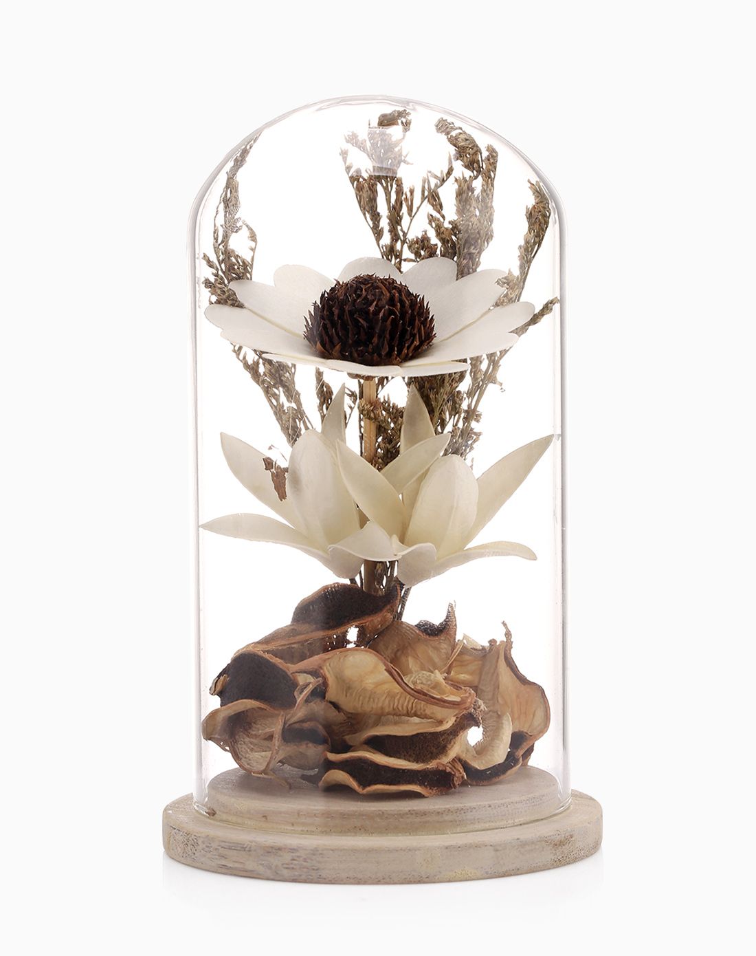 小号棉花壳太阳花玻璃罩摆件