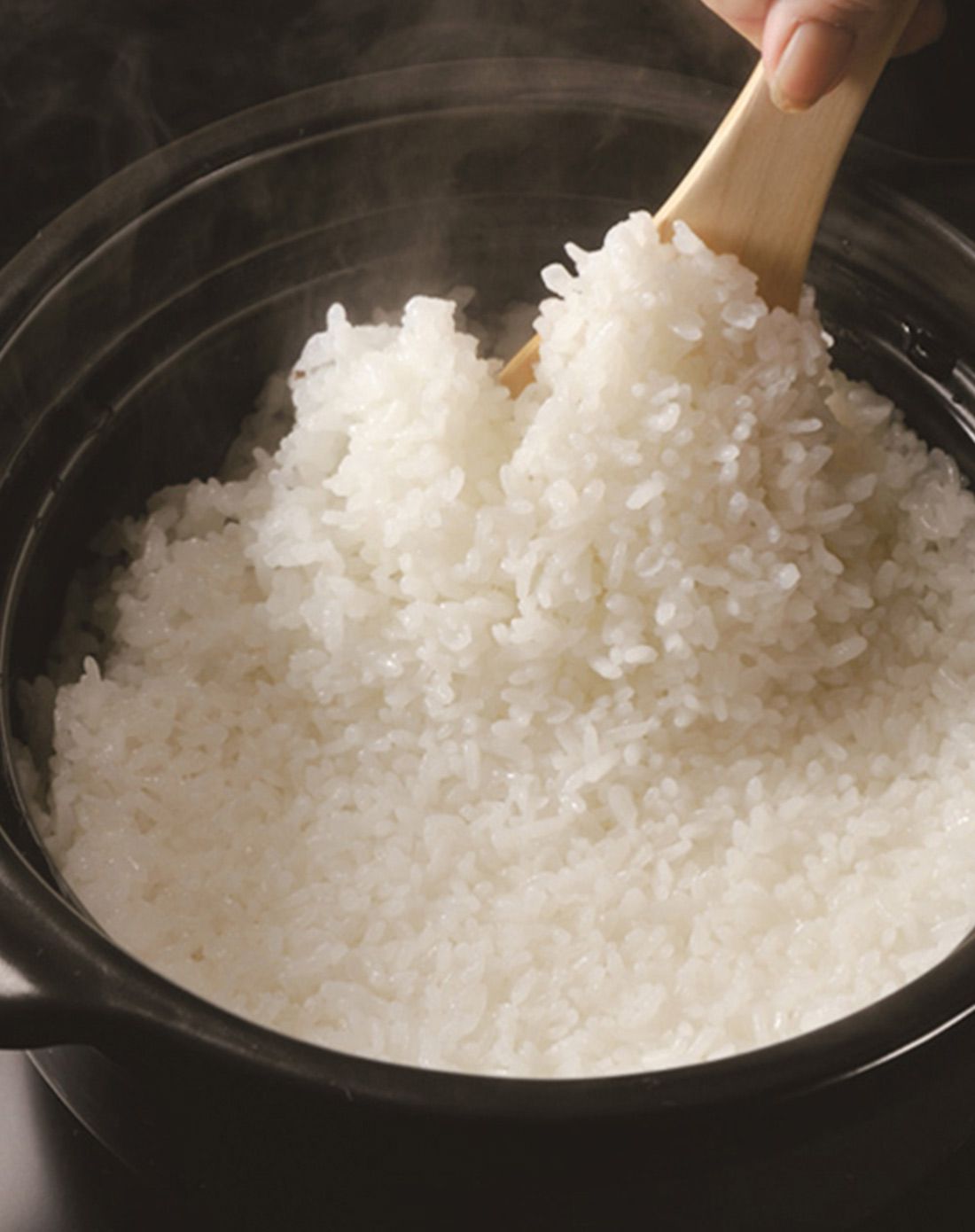 hario日本进口万古烧陶瓷锅煲汤米饭锅3人份