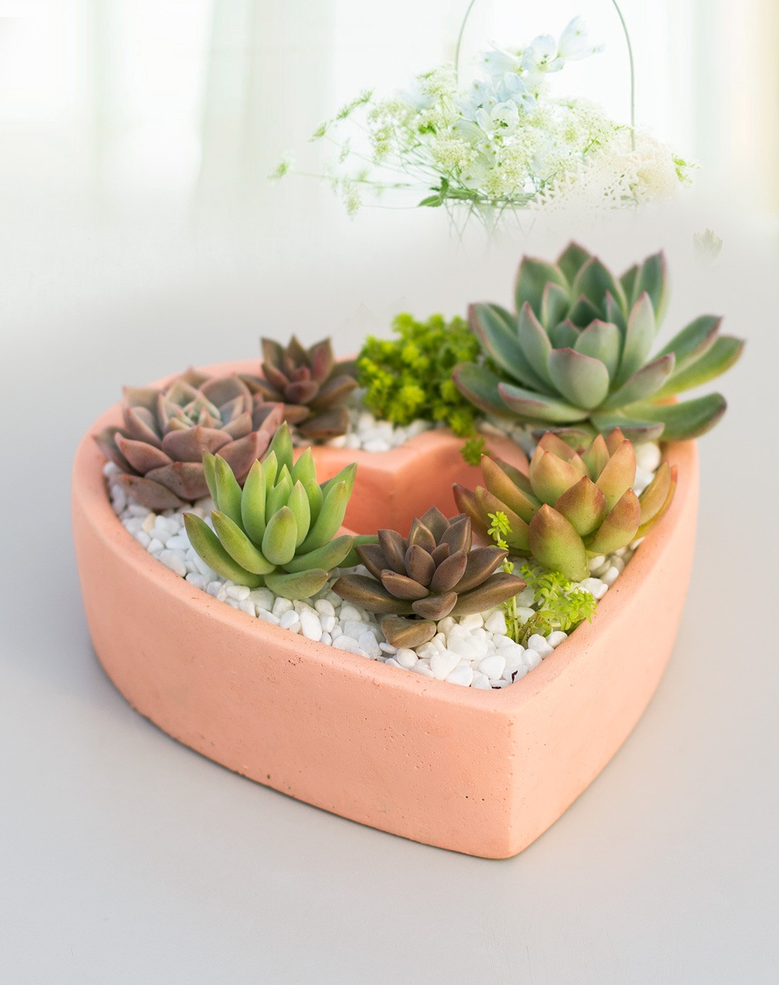 love 心型花盆组合-浪漫创意