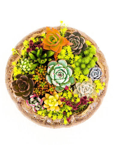 窑变复古大型花盆多肉组合盆景