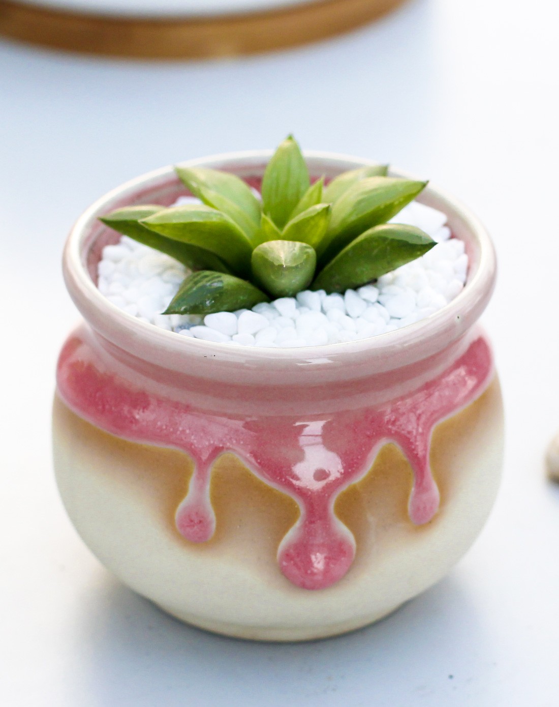 水晶寿 高端多肉 琉璃色手工陶瓷花盆 含盆含土