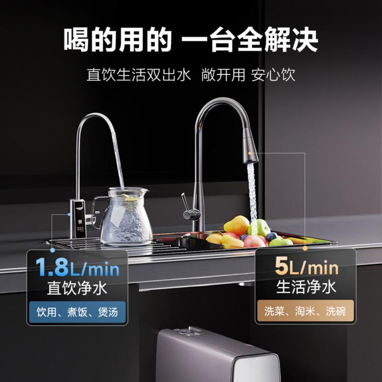 A.O.SMITH 【超级新品】史密斯双出水净水器家用直饮双水路5升/分钟超大流量
