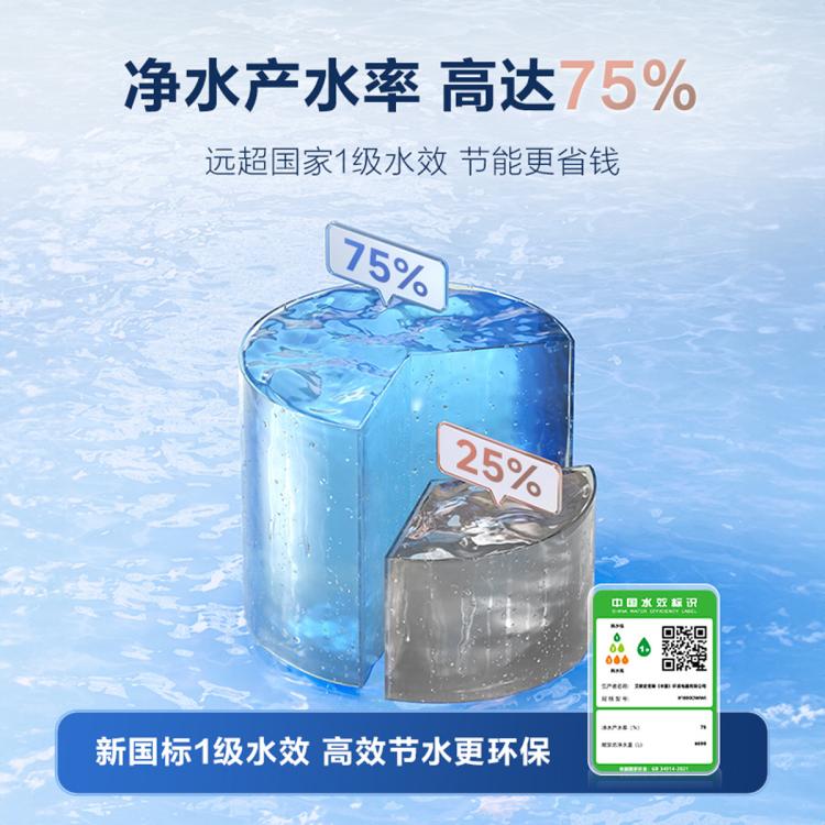 A.O.SMITH 【超级新品】史密斯双出水净水器家用直饮双水路5升/分钟超大流量