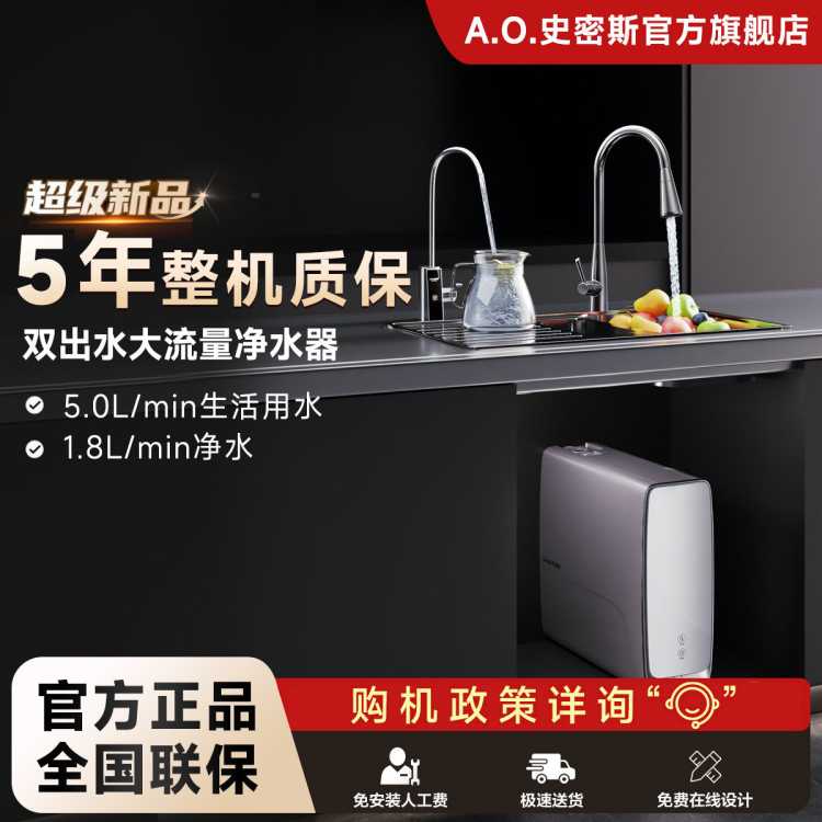 A.O.SMITH 【超级新品】史密斯双出水净水器家用直饮双水路5升/分钟超大流量