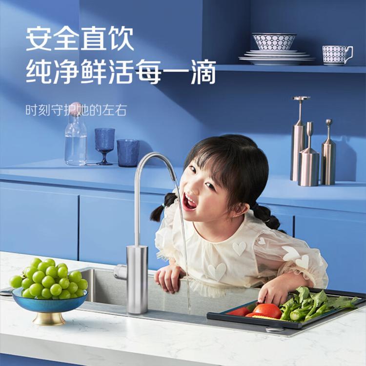 佳尼特 AO史密斯佳尼特厨下直饮净水机HE1大流量1级水效反渗透过滤