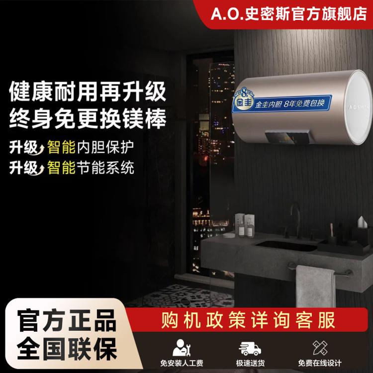 A.O.SMITH 史密斯金圭内胆电热水器ED3专利免更换镁棒60升80升速热节能耐用