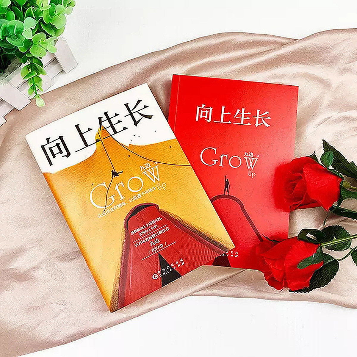 向上生长九边文集实现突破解决人生困惑成功之道励志书籍