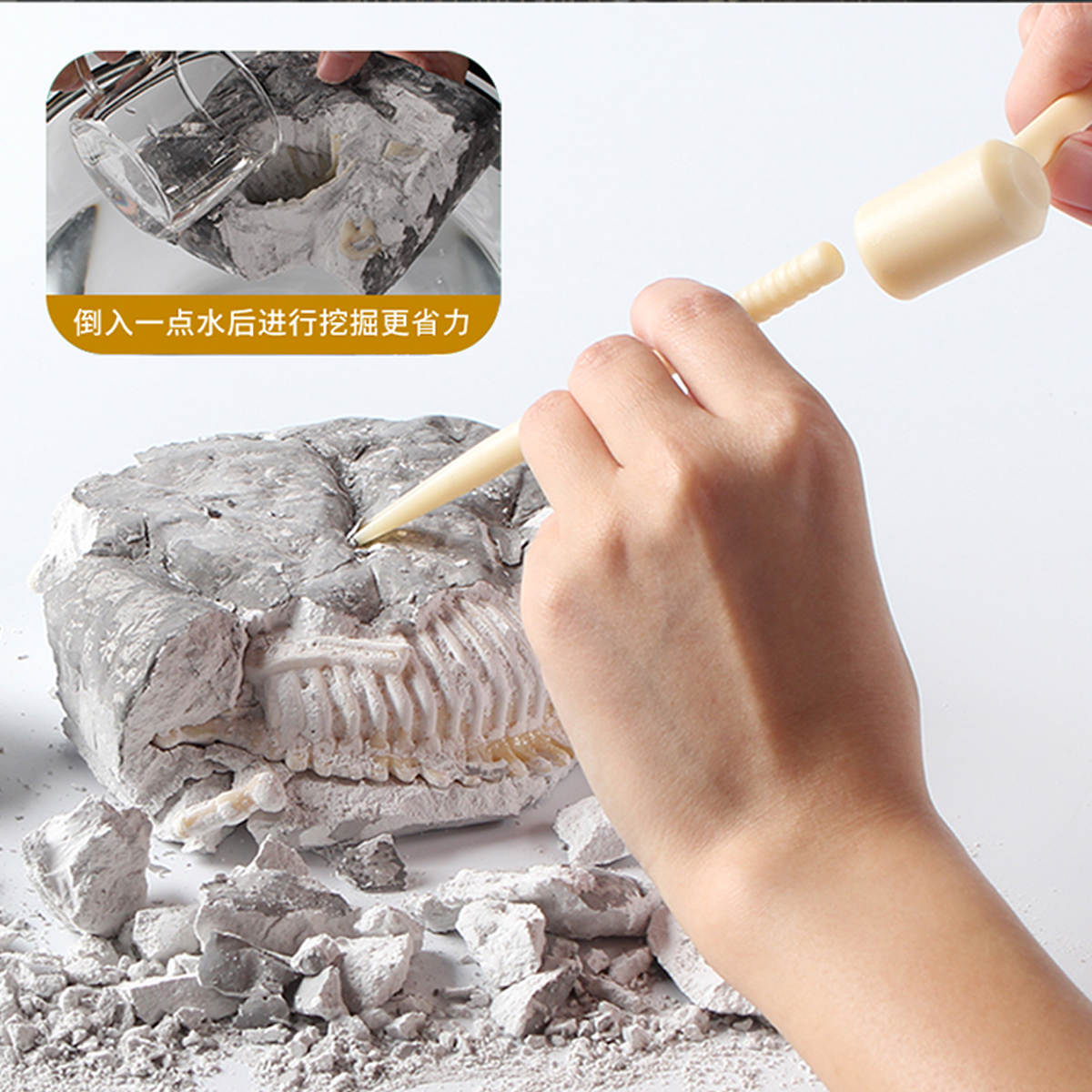 化石模型制作过程图片