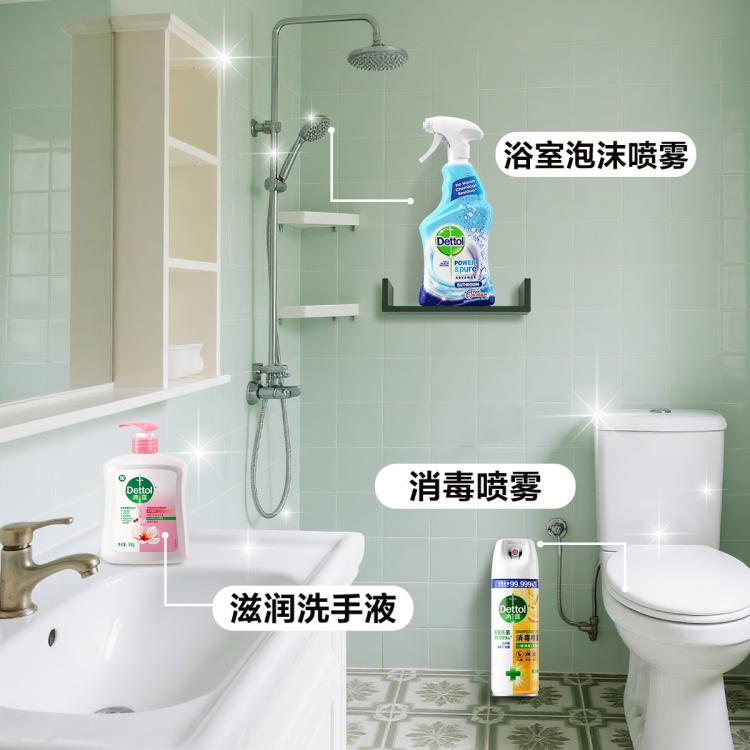 Dettol 【鞋子鞋袜除臭】滴露家庭马桶消毒喷雾454ml*2+湿巾10片 床单