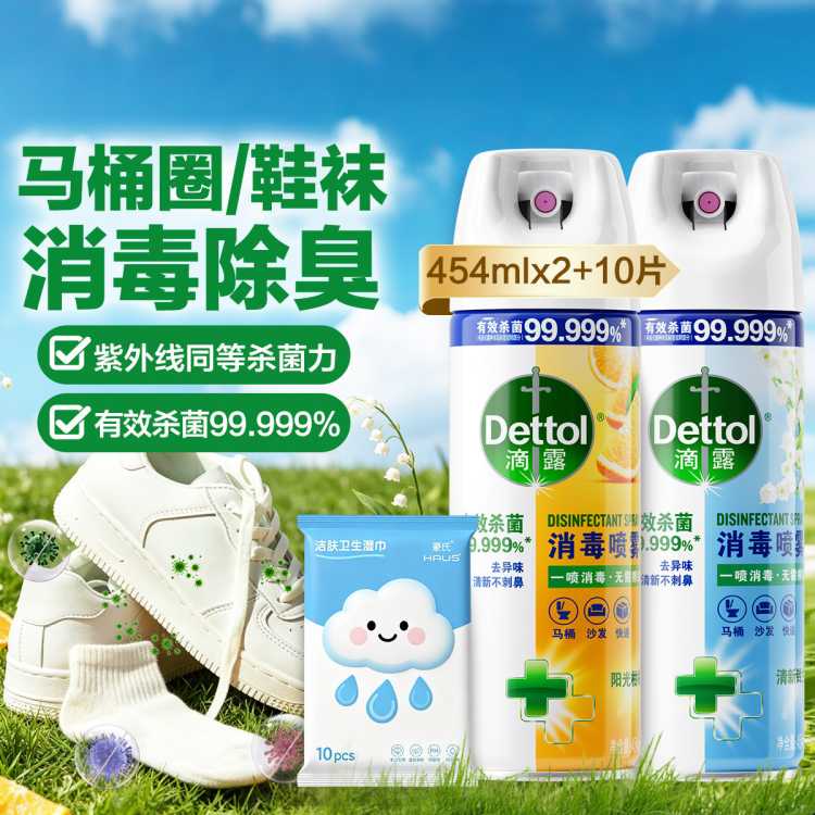 Dettol 【鞋子鞋袜除臭】滴露家庭马桶消毒喷雾454ml*2+湿巾10片 床单