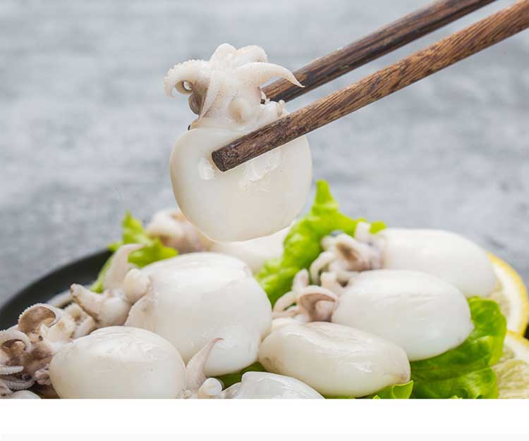 鲜冻花枝墨斗鱼乌贼小墨鱼500g火锅烧烤食材