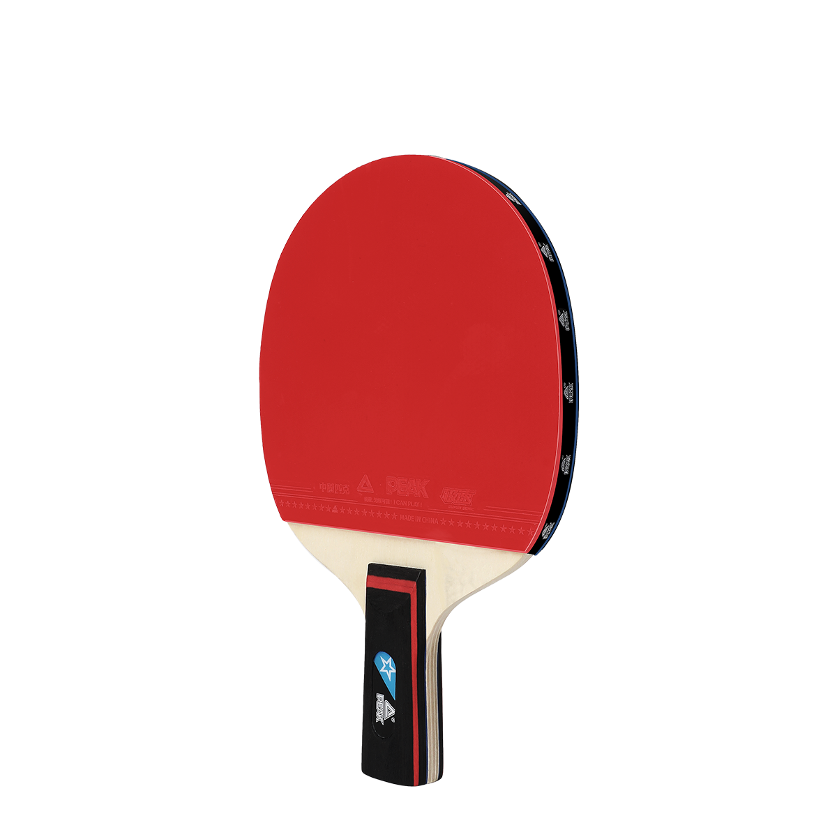 13ƹĸߵʹѧ߱ͯѧ˫