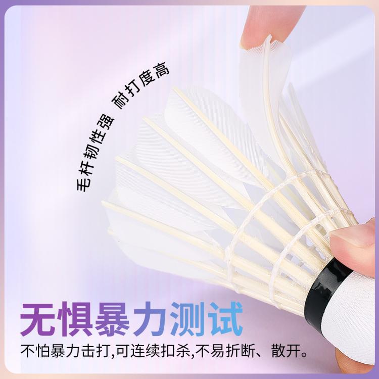 匹克 【飞行稳定】羽毛球耐打王不易打烂鸭毛室外比赛套装训练用球