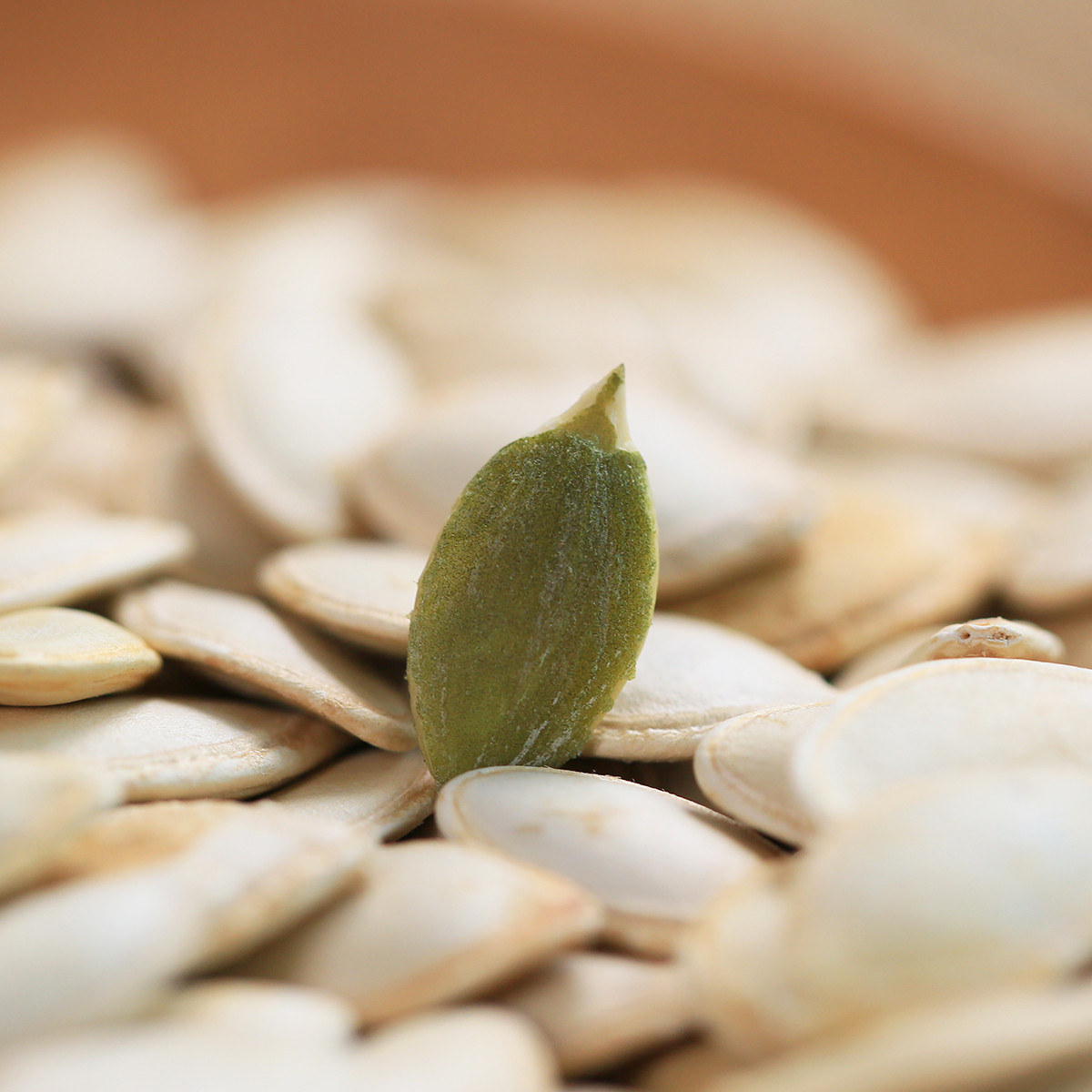 原味南瓜子250gx2袋 独立小包装炒货休闲小吃零食