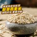 燕之坊 胚芽燕麦米435g燕麦仁胚芽米糙米饭五谷杂粮代餐粗粮