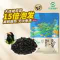 燕之坊 干裙带菜100g海产干货特产海裙菜凉拌煮汤食材