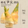 燕之坊 脆嫩笋尖500g笋干货特产糯米嫩笋尖笋丝免泡发干锅下饭菜 图片 2