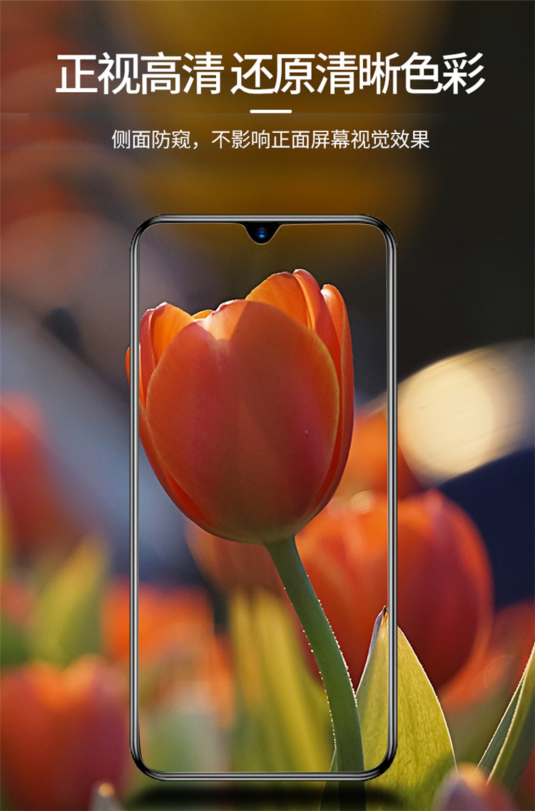 vivoz6/z5/z5x/z3i/z1鋼化膜vivos10/s9/s7e/s6/s5防偷窺s10pro