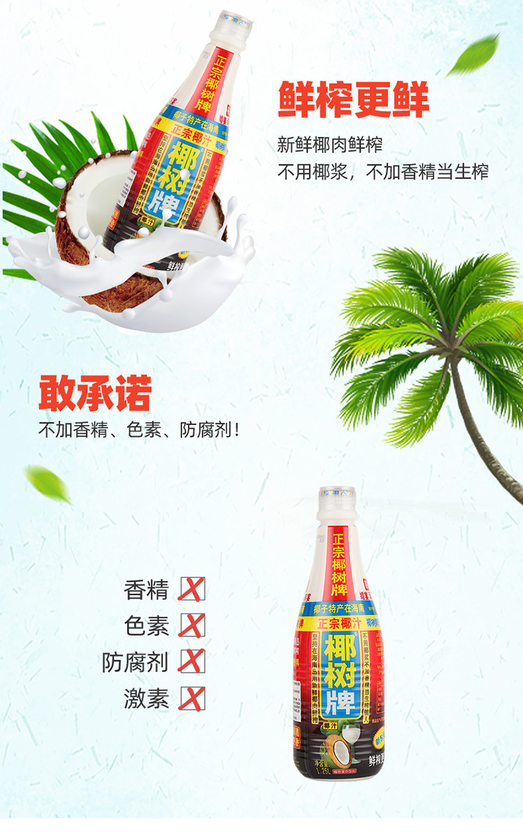 椰树椰子汁1.25l*6瓶海南特产椰奶植物蛋白饮料整箱批发