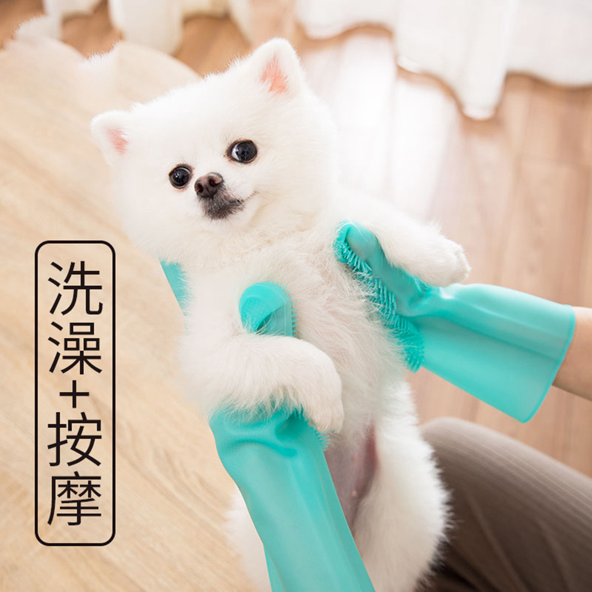 宠物比熊用品