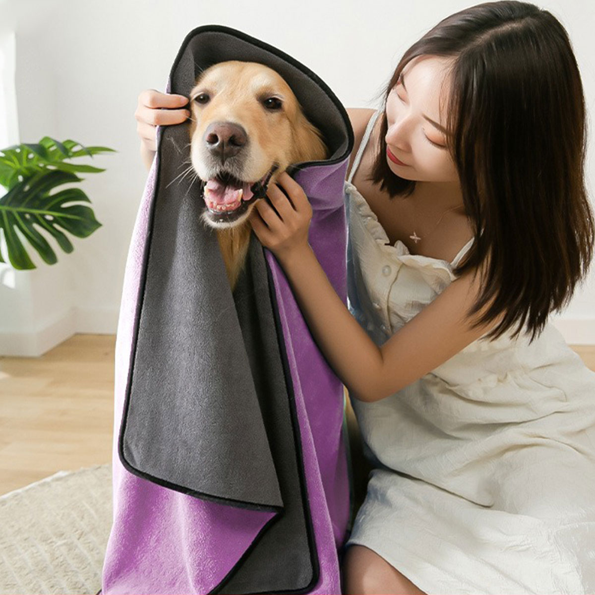 狗狗猫咪用品