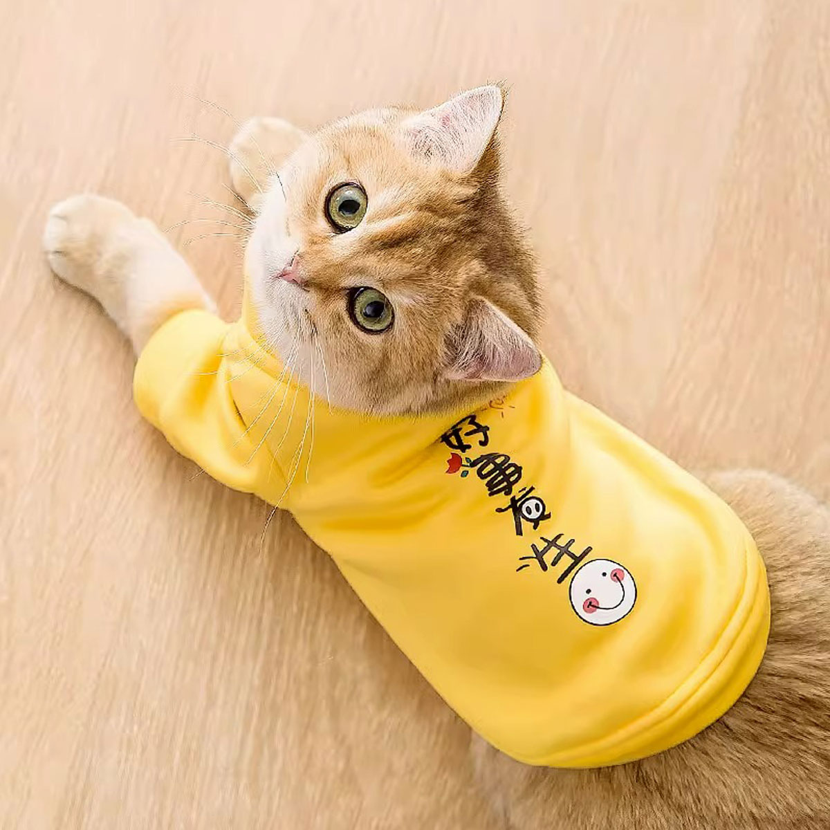 嬉皮狗 宠物衣服防掉毛秋季猫猫秋冬幼猫小猫宠物秋天冬季狗狗