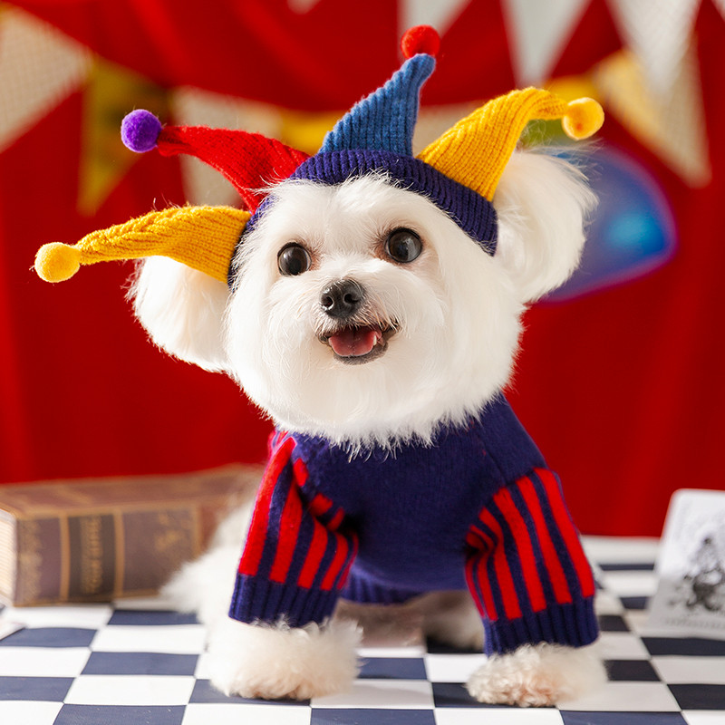 嬉皮狗 狗狗衣服可爱风疯狂马戏团变装棋盘格针织毛衣小型犬泰迪宠物服饰