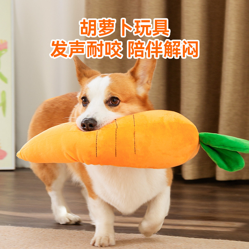 狗狗宠物狗玩具