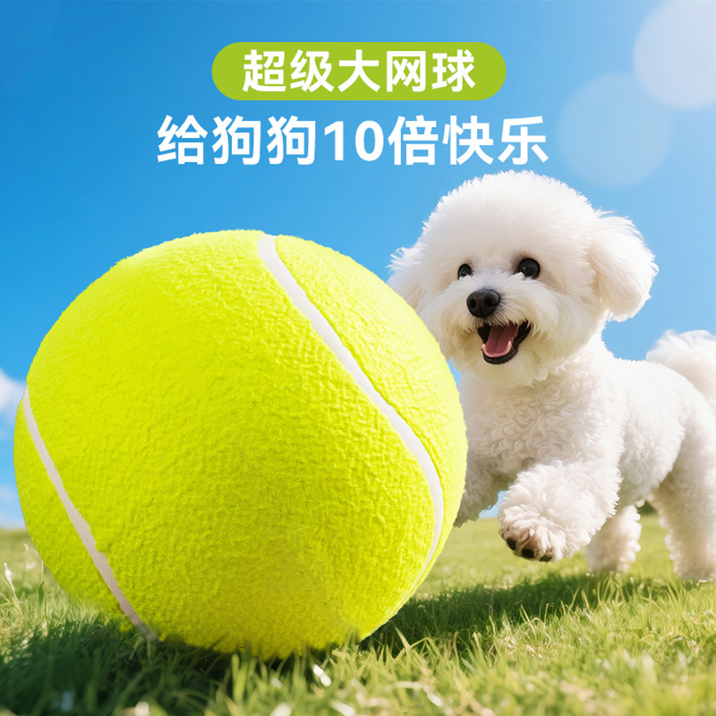 狗狗柯基玩具球