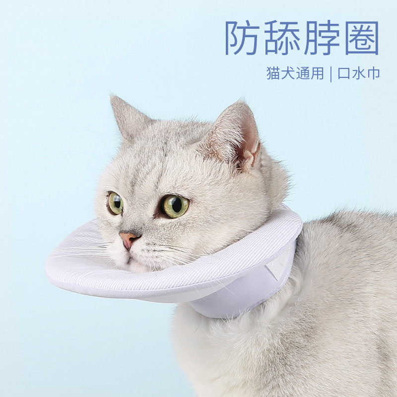 猫咪小猫项圈