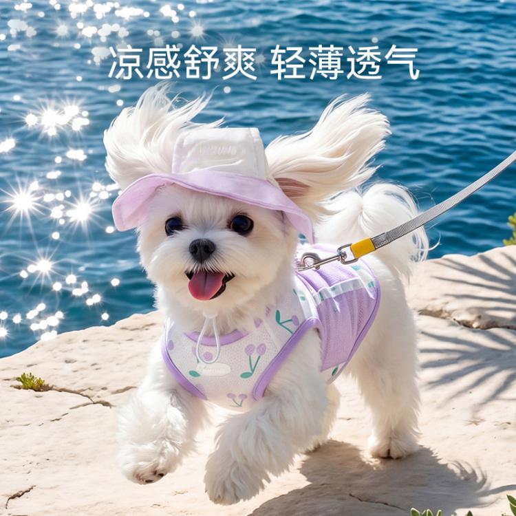 商品缩略图 2