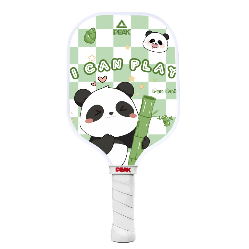 ƥ pickleballb̼άƥĶͯ˱רҵѵİȫ˶