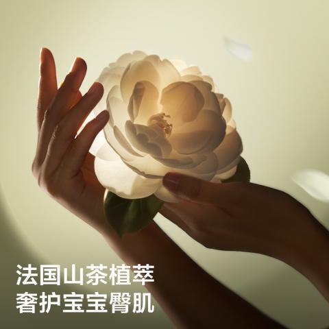 Babycare 【品牌直供 安心品质】【试用装】山茶轻柔纸尿裤NB-L码3片 图片 5